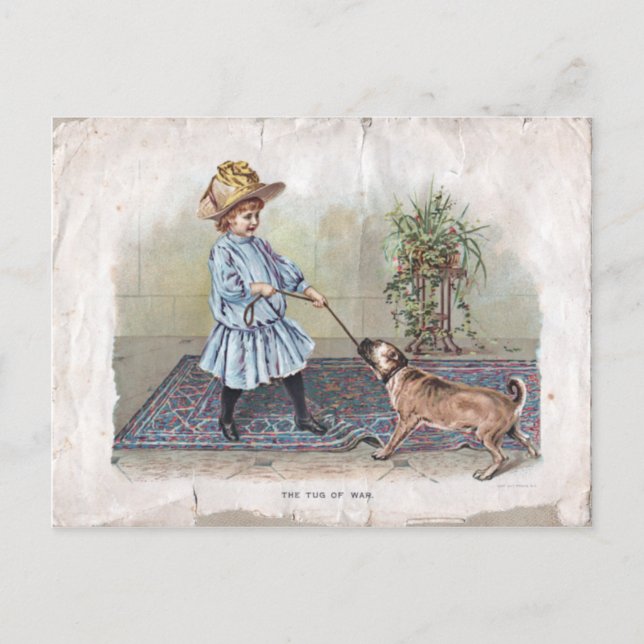 Tug of War Postcard (Front)