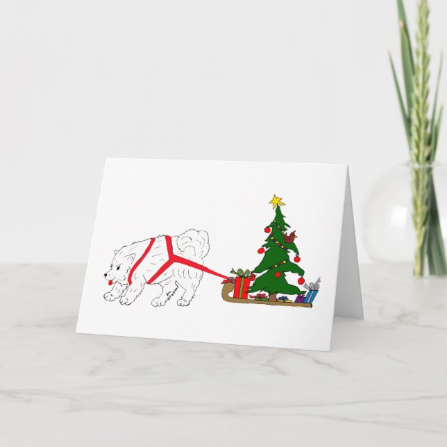 Tug the Samoyed pulling Christmas Tree Holiday Card (Front)