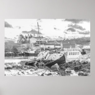 Tugger's Last Stand (b&w) Poster