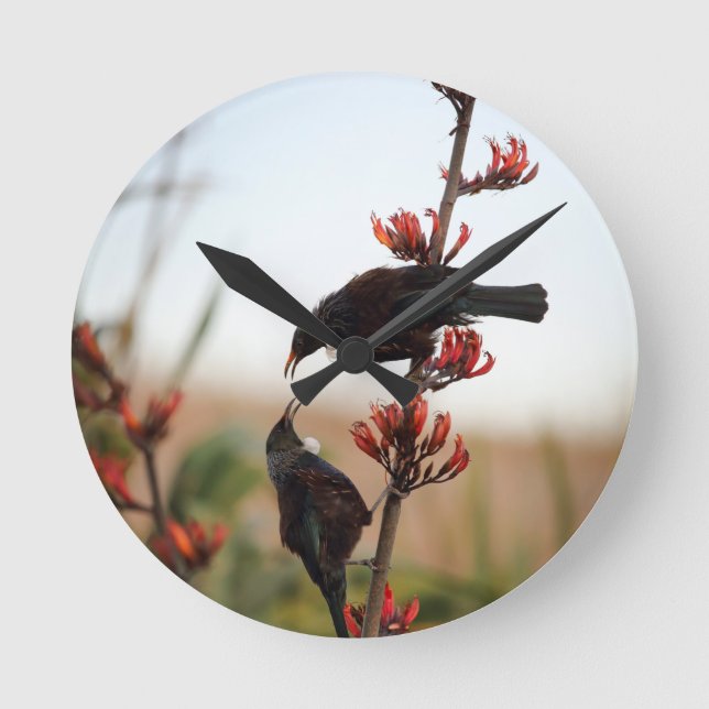 Tui birds on New Zealand flax Round Clock (Front)