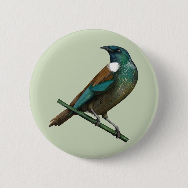 Tui New Zealands Bird 6 Cm Round Badge (Front)