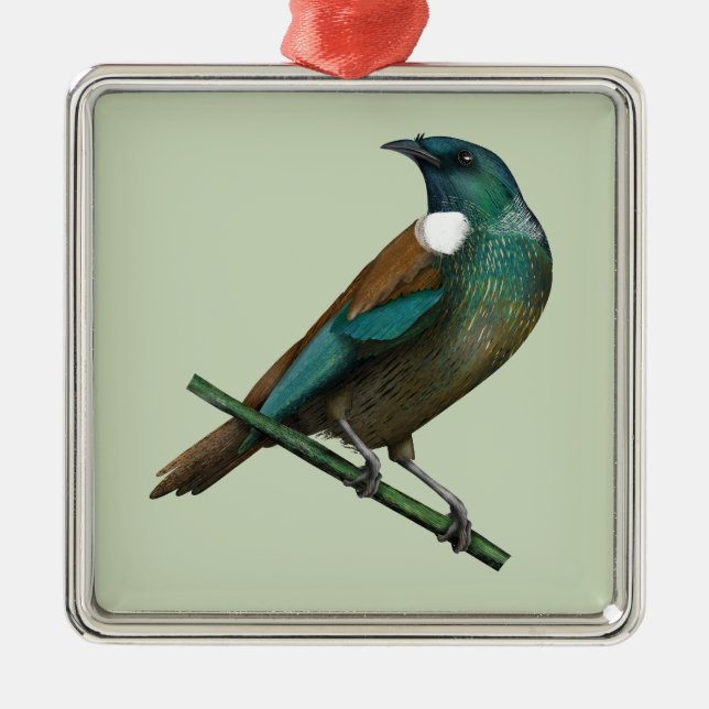 Tui New Zealands Bird Metal Ornament (Front)