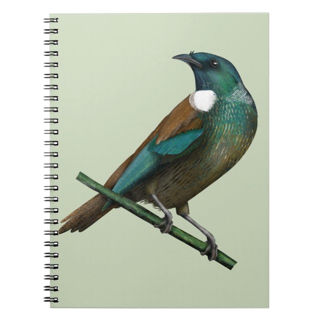 Tui New Zealands Bird Notebook (Front)