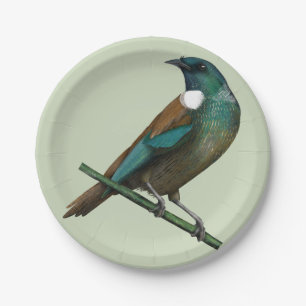 Tui New Zealands Bird Paper Plate