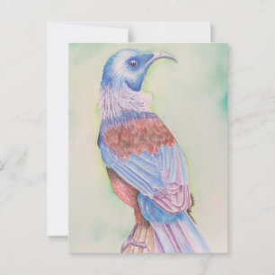 Tui - postcard