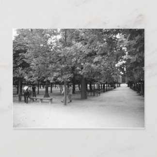Tuileries - Bucolic Landscape Postcard