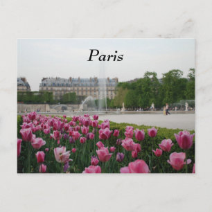 Tuileries Garden in bloom Postcard