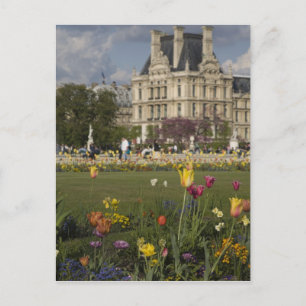 Tuileries Garden, Louvre, Paris, France Postcard