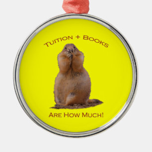 Tuition plus Books Metal Ornament