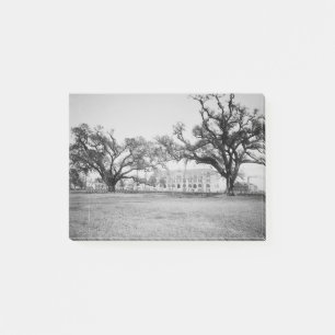 Tulane University from Audubon Park, New Orleans Post-it Notes