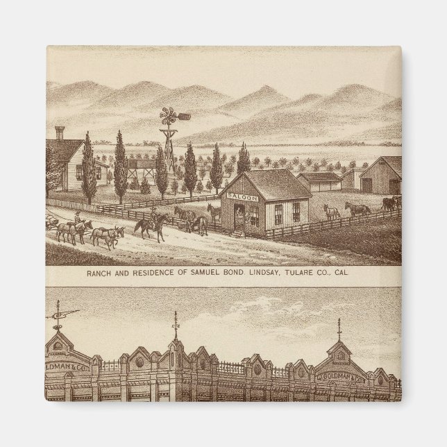 Tulare Co Bank Magnet (Front)