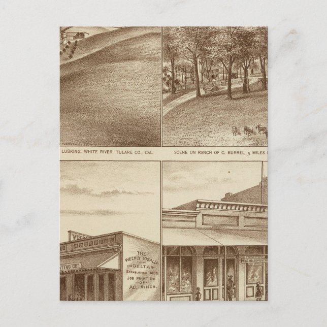 Tulare Co ranches, offices Postcard (Front)