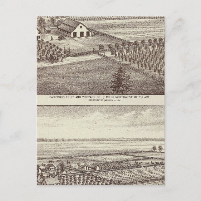 Tulare farms postcard (Front)