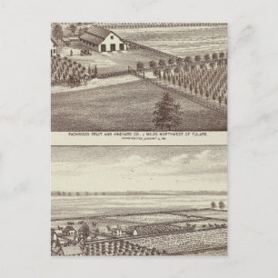 Tulare farms postcard