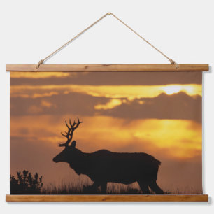Tule Elk Point Reyes National Seashore Hanging Tapestry
