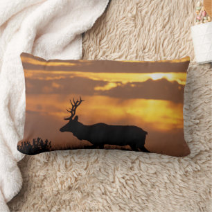 Tule Elk Point Reyes National Seashore Lumbar Cushion