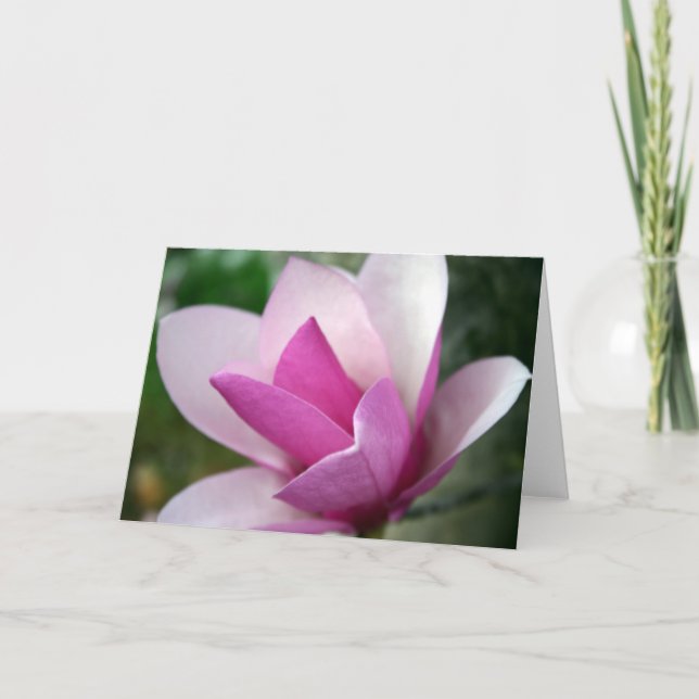 tulip 001 card (Front)