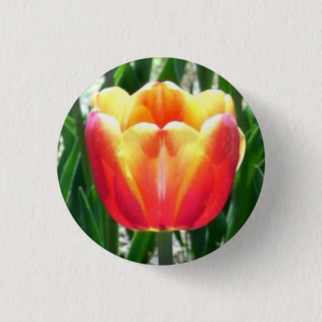 Tulip 3 Cm Round Badge (Front)