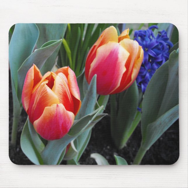 Tulip-A Flower of Love Mouse Pad (Front)