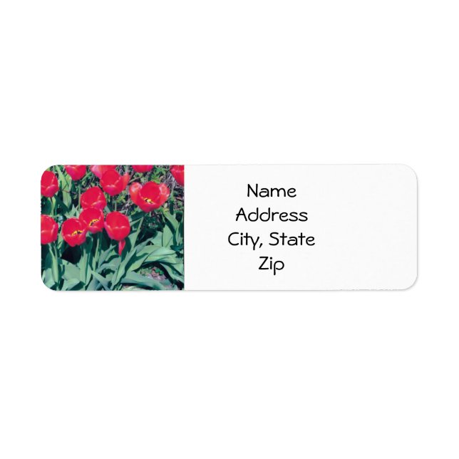 Tulip Address Labels (Front)