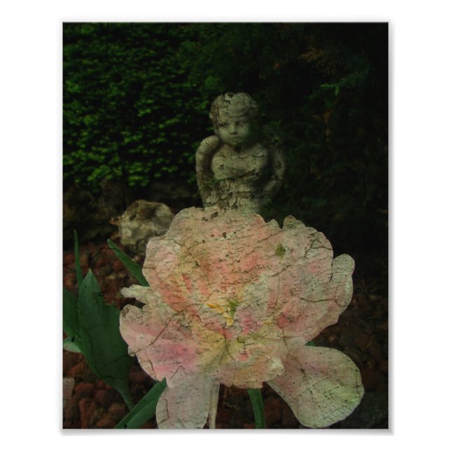 Tulip and Cherub Photo Print (Front)