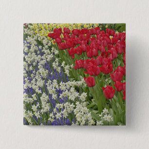Tulip and daffodil garden, Keukenhof Gardens, 15 Cm Square Badge