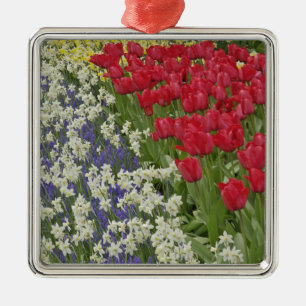 Tulip and daffodil garden, Keukenhof Gardens, Metal Ornament
