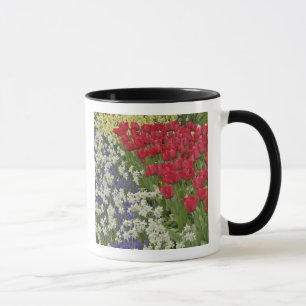 Tulip and daffodil garden, Keukenhof Gardens, Mug