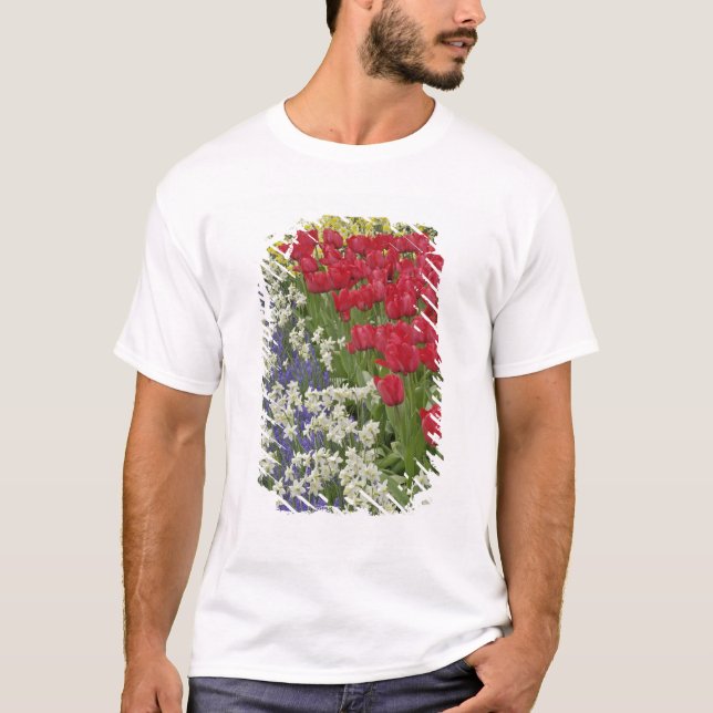 Tulip and daffodil garden, Keukenhof Gardens, T-Shirt (Front)