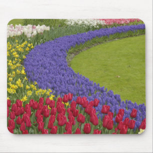 Tulip and Grape Hyacinth and daffodil garden, Mouse Pad
