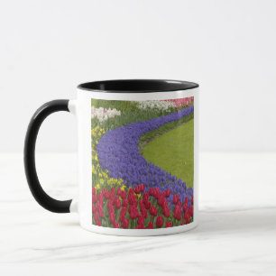Tulip and Grape Hyacinth and daffodil garden, Mug