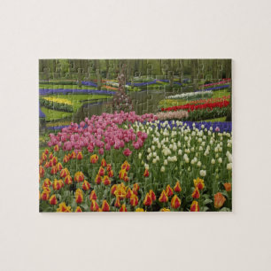 Tulip and hyacinth garden, Keukenhof Gardens, Jigsaw Puzzle