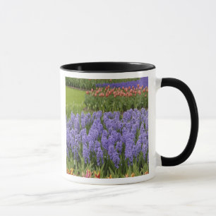 Tulip and Hyacinth garden, Keukenhof Gardens, Mug