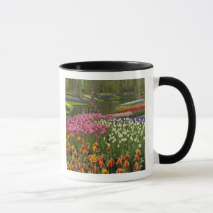 Tulip and hyacinth garden, Keukenhof Gardens, Mug