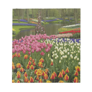 Tulip and hyacinth garden, Keukenhof Gardens, Notepad