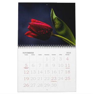 Tulip Beautiful Roses Holland Flowers 2025  Calendar