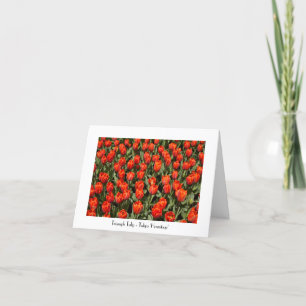 Tulip Blank All Occassion Folded Greeting Card