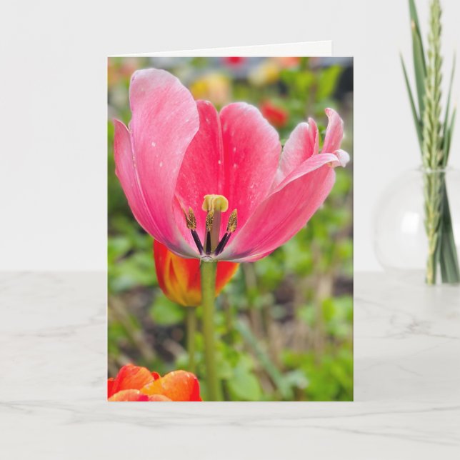 Tulip Blank Greeting Card (Front)
