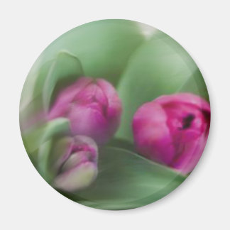 Tulip Bouquet Magnet