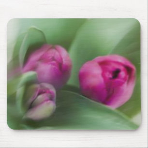Tulip Bouquet Mouse Pad