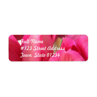 Tulip Bulbs Mailing Label Return Address Label