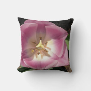 Tulip Burst ~pillow Cushion