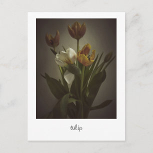"tulip" by Heidi Rondak Photography Postcard