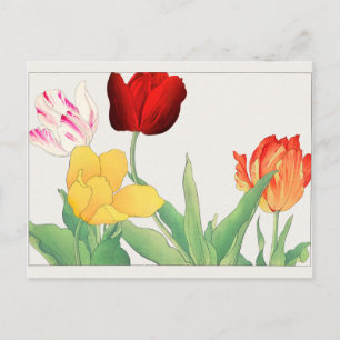 Tulip by Tanigami Konan Postcard