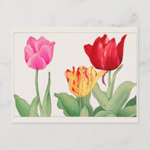 Tulip by Tanigami Konan Postcard