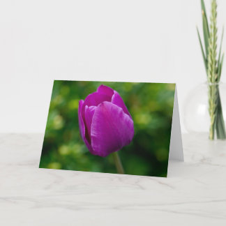 Tulip Card