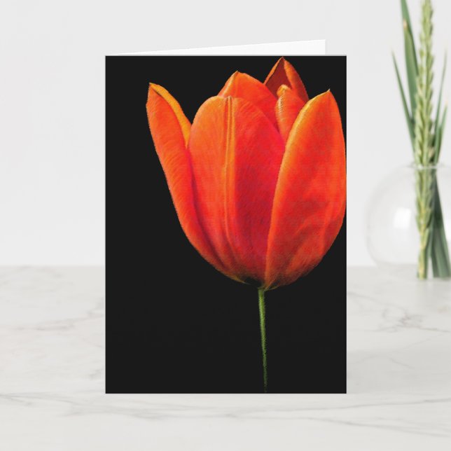 Tulip Card (Front)