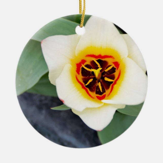 Tulip Ceramic Tree Decoration (Front)