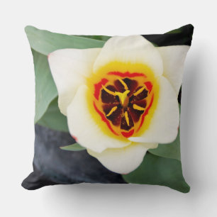 Tulip Cushion