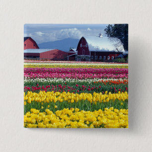 Tulip display field 15 cm square badge